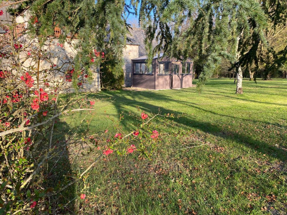 Les Gites De La Pellerie - 2 Piscines Interieur & Exterieur - Touraine - 3 Gites - Familial, Calme, Campagne Saint-Branchs ภายนอก รูปภาพ